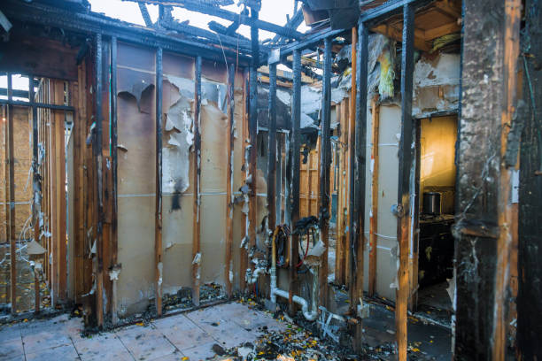 Professional Structural Rebuild technician working in Berry Creek, CA